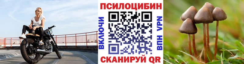 Псилоцибиновые грибы ЛСД  наркотики  Новошахтинск 